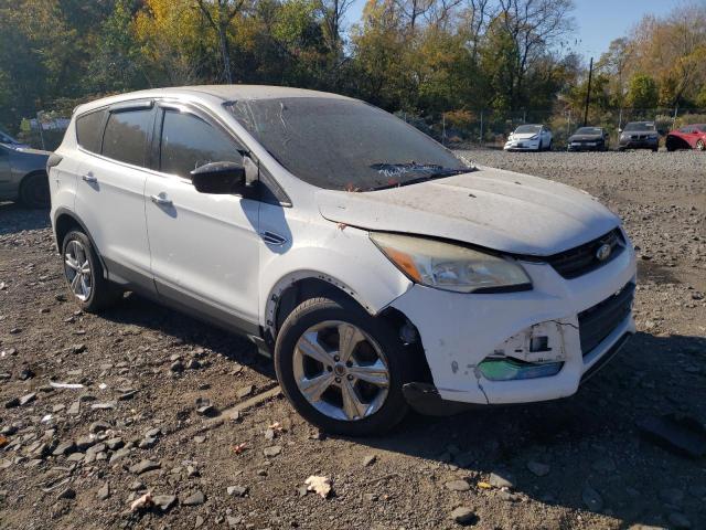 VIN 1FMCU0GX4DUC48041 2013 Ford Escape, SE no.4