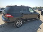 MERCEDES-BENZ ML 350 photo