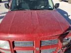 Lot #2960206043 2011 DODGE NITRO HEAT