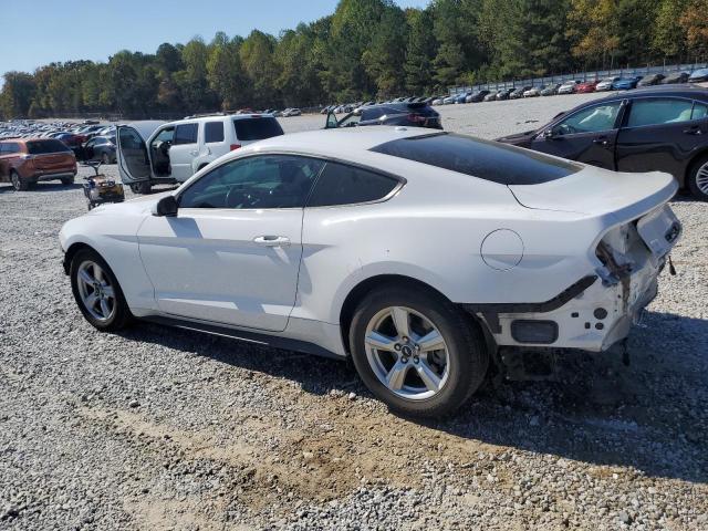 2019 FORD MUSTANG - 1FA6P8TH0K5166486