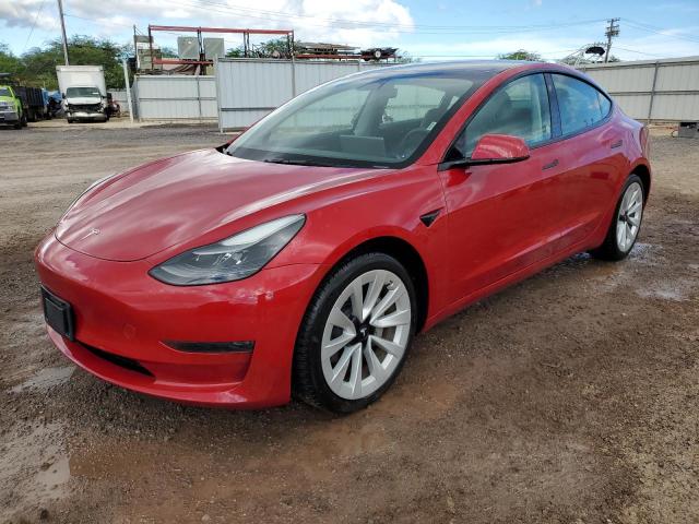 TESLA MODEL 3 2023 red  electric 5YJ3E1EA1PF429939 photo #1