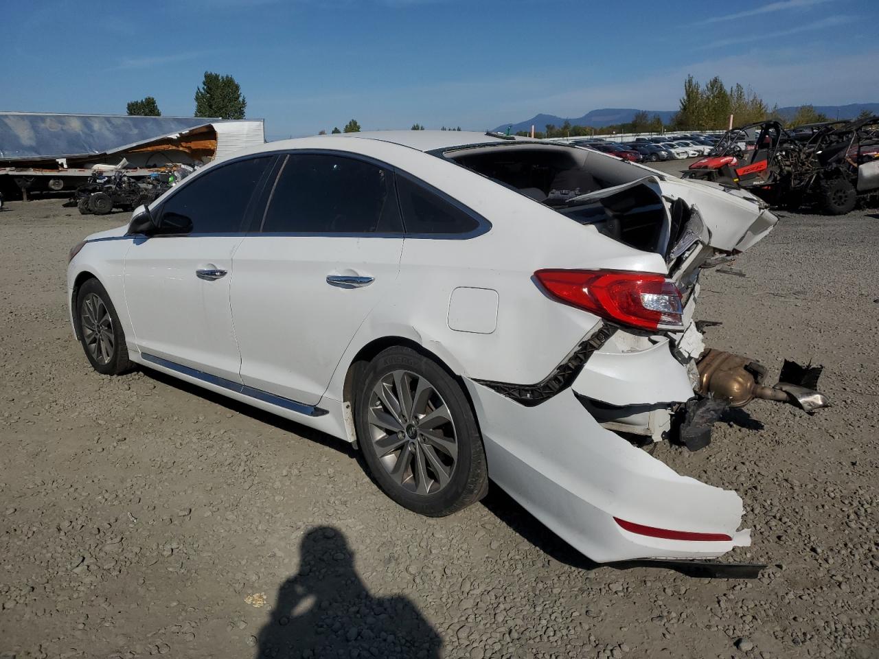 Lot #2977209146 2016 HYUNDAI SONATA SPO