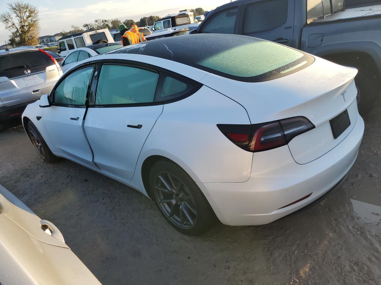 Lot #2955589838 2021 TESLA MODEL 3