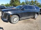 2021 CADILLAC ESCALADE E - 1GYS4KKL3MR420685
