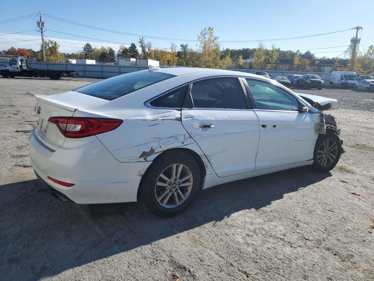 Lot #2976789779 2016 HYUNDAI SONATA SE