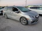 HONDA ODYSSEY EX photo