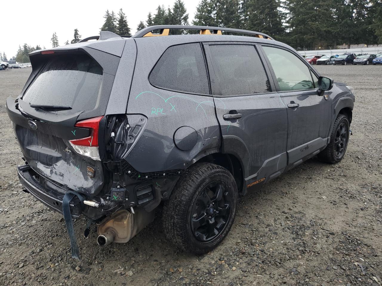 Lot #2991238099 2023 SUBARU FORESTER W