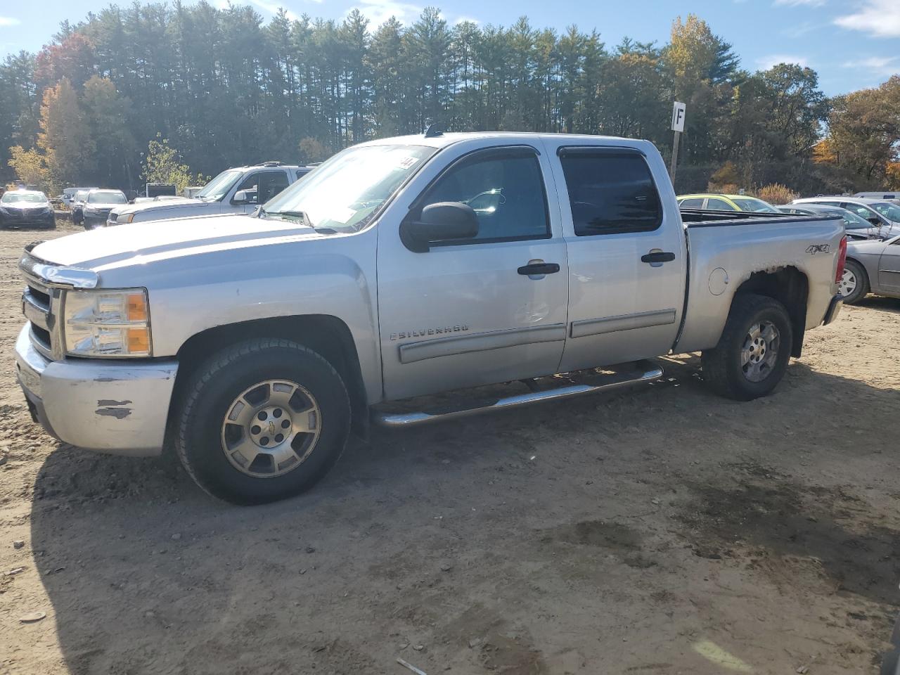 Lot #2925488417 2010 CHEVROLET SILVERADO