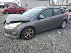 Lot #3027240293 2013 FORD FOCUS SE