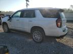 Lot #3009252051 2023 CHEVROLET TAHOE K150