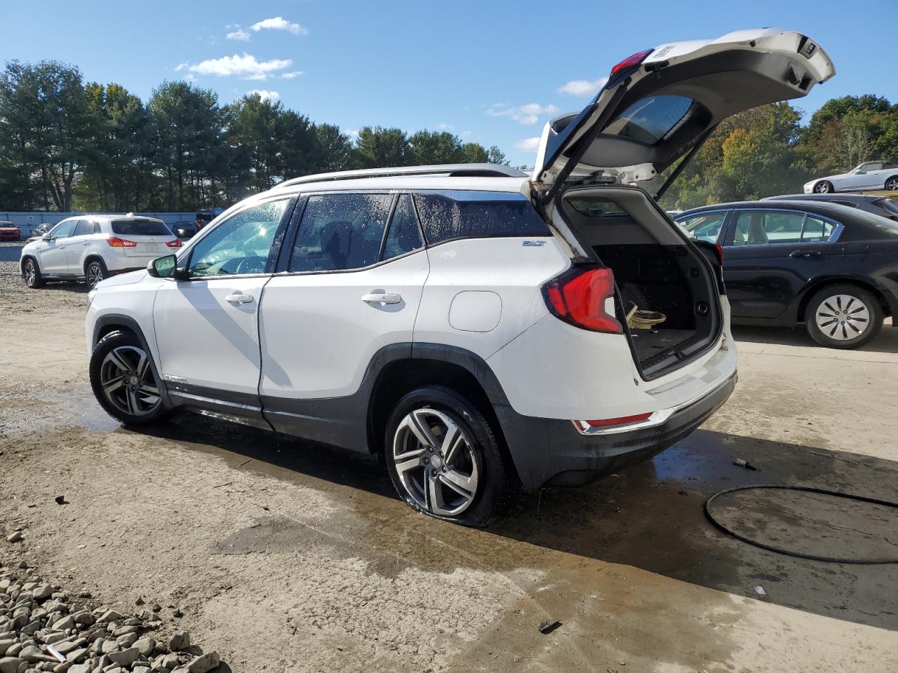 Lot #2952911905 2020 GMC TERRAIN SL