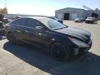 Lot #3006885508 2013 HYUNDAI SONATA SE