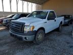 FORD F150 photo