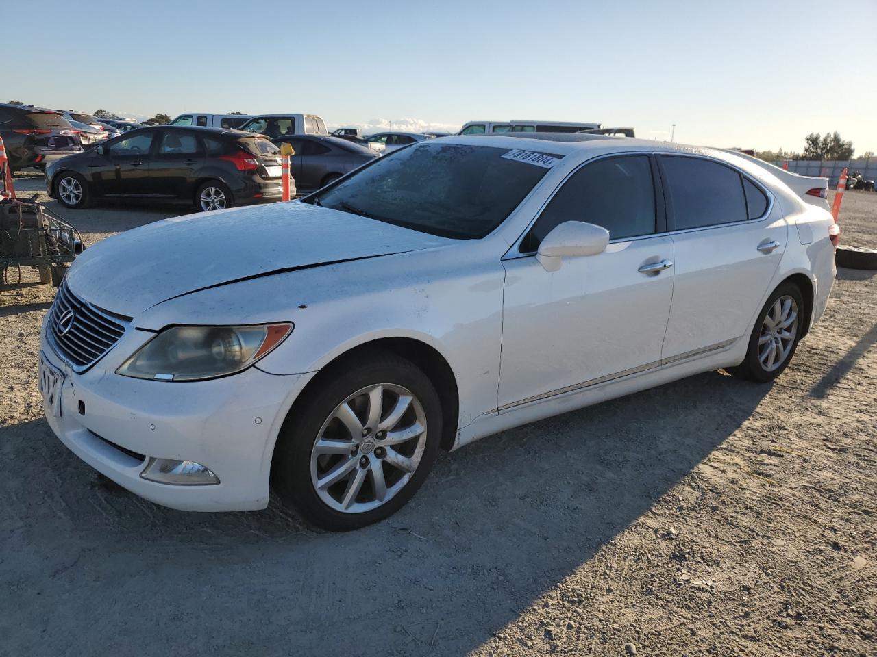 Lot #3025829332 2007 LEXUS LS 460L