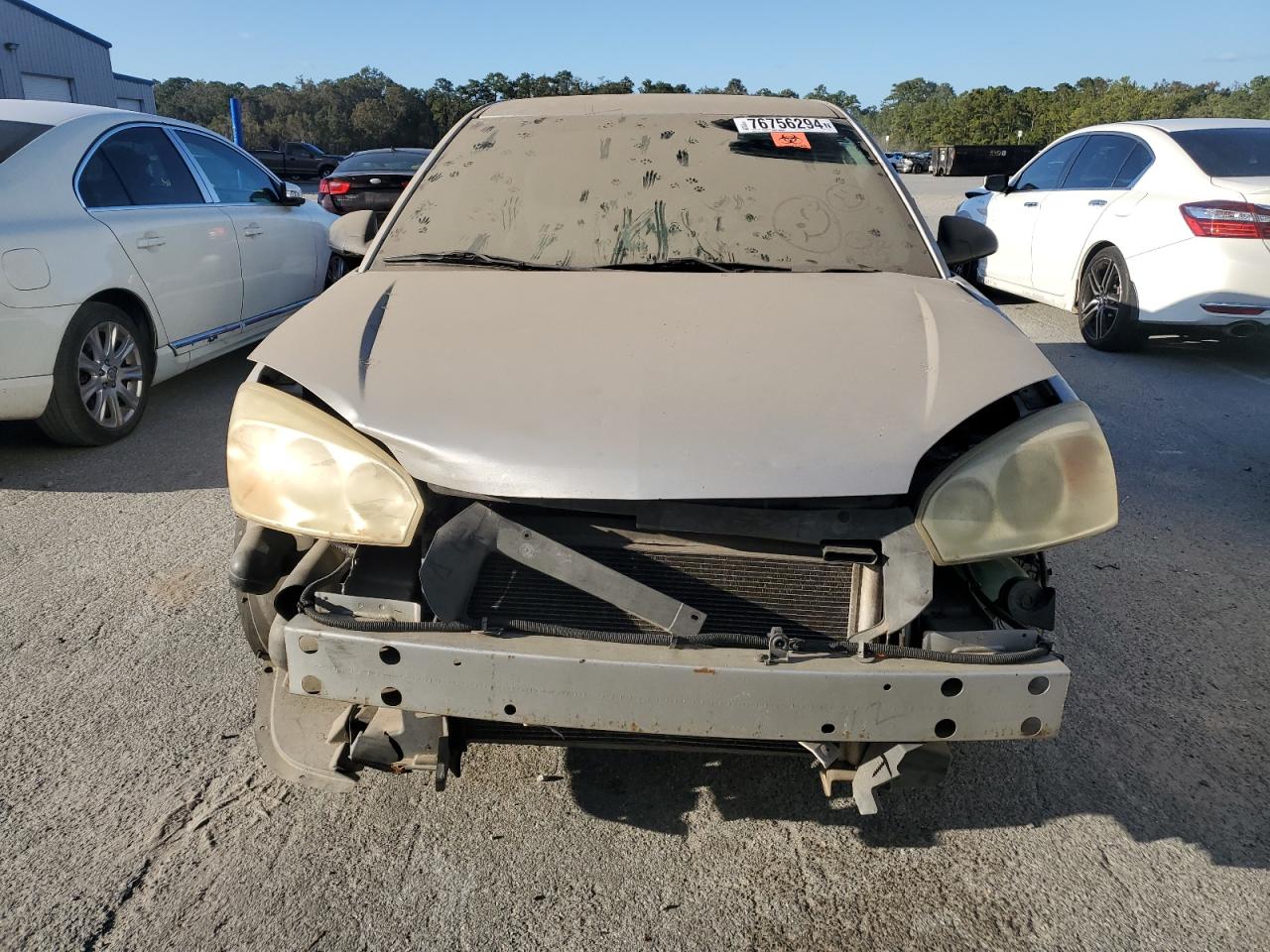 Lot #2935937862 2005 CHEVROLET MALIBU