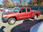 Lot #3025163174 2007 TOYOTA TACOMA ACC