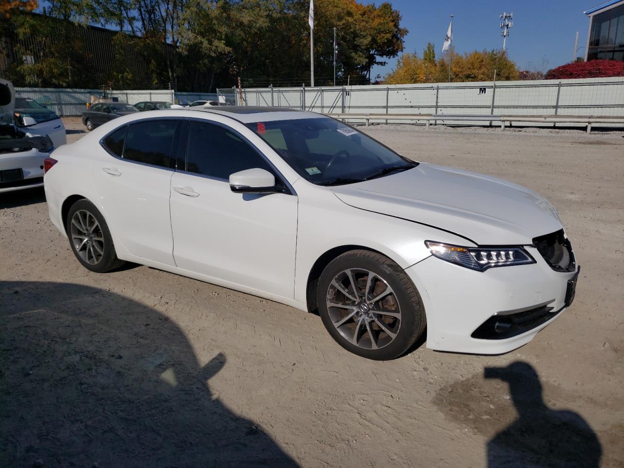 Lot #2943141568 2015 ACURA TLX ADVANC