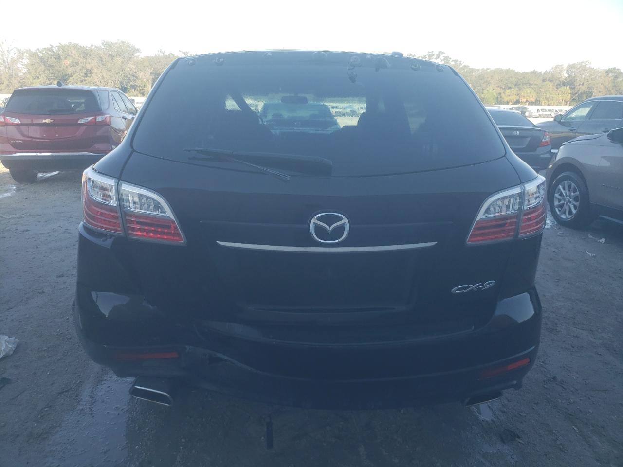 Lot #3028611945 2010 MAZDA CX-9