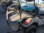 Lot #3025054241 2019 ASPT GOLF CART