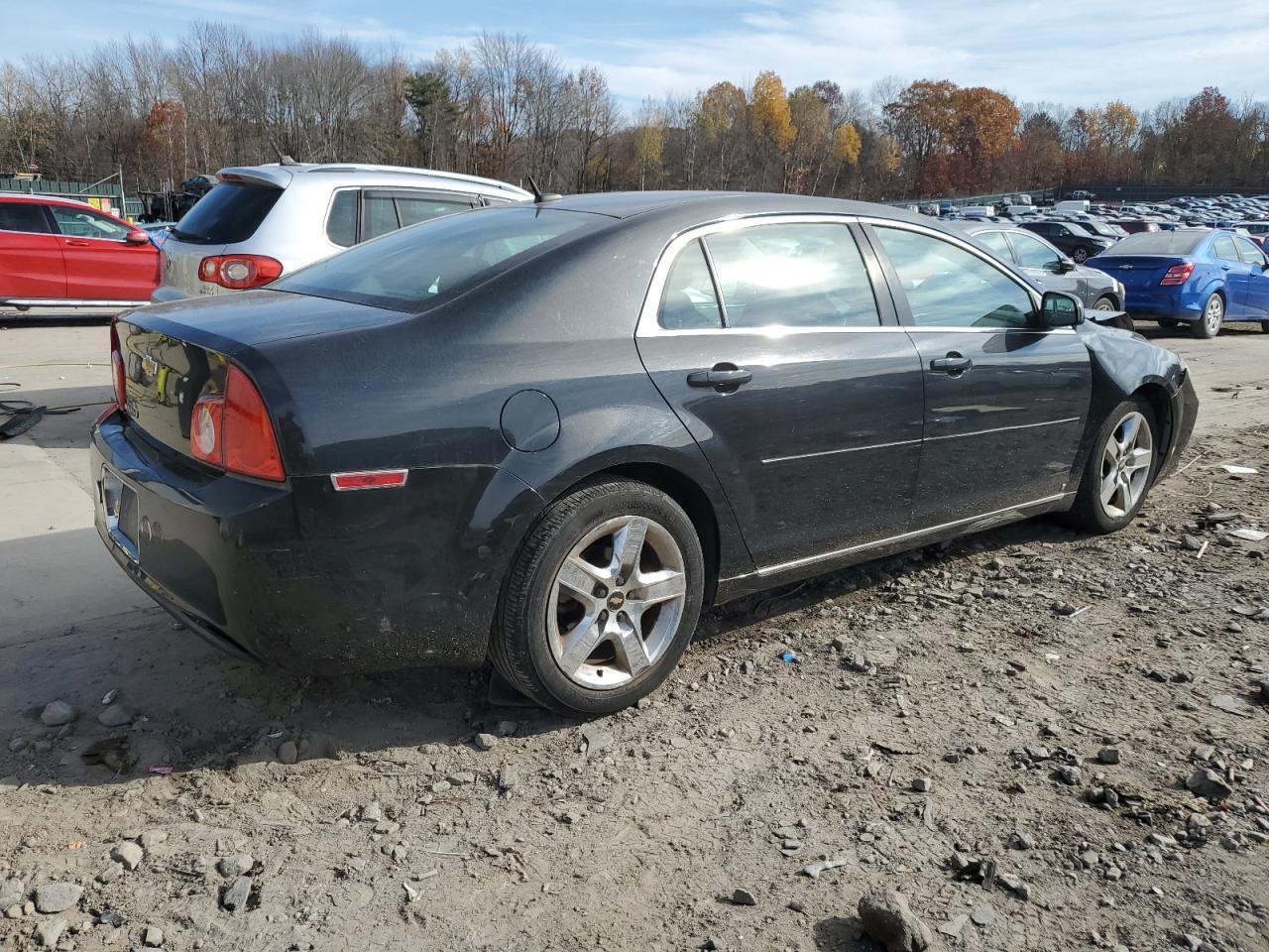 Lot #3048580919 2010 CHEVROLET MALIBU 1LT