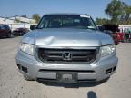 HONDA RIDGELINE photo