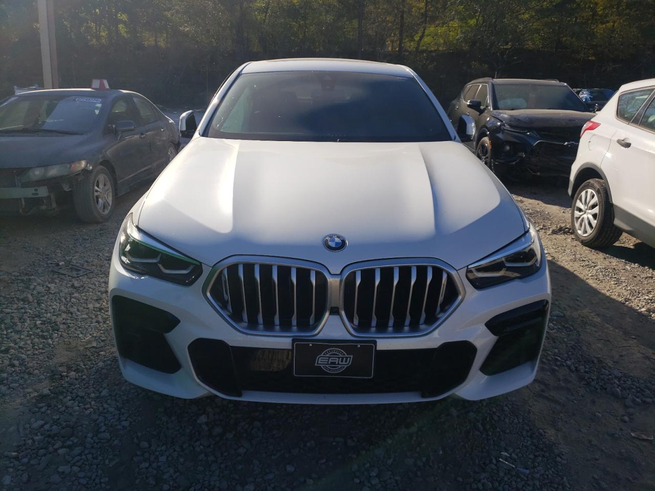 Lot #2989448599 2022 BMW X6 XDRIVE4