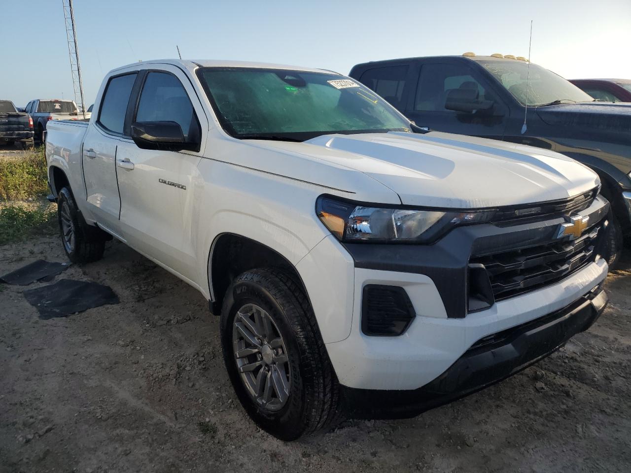 Lot #2975937266 2023 CHEVROLET COLORADO L