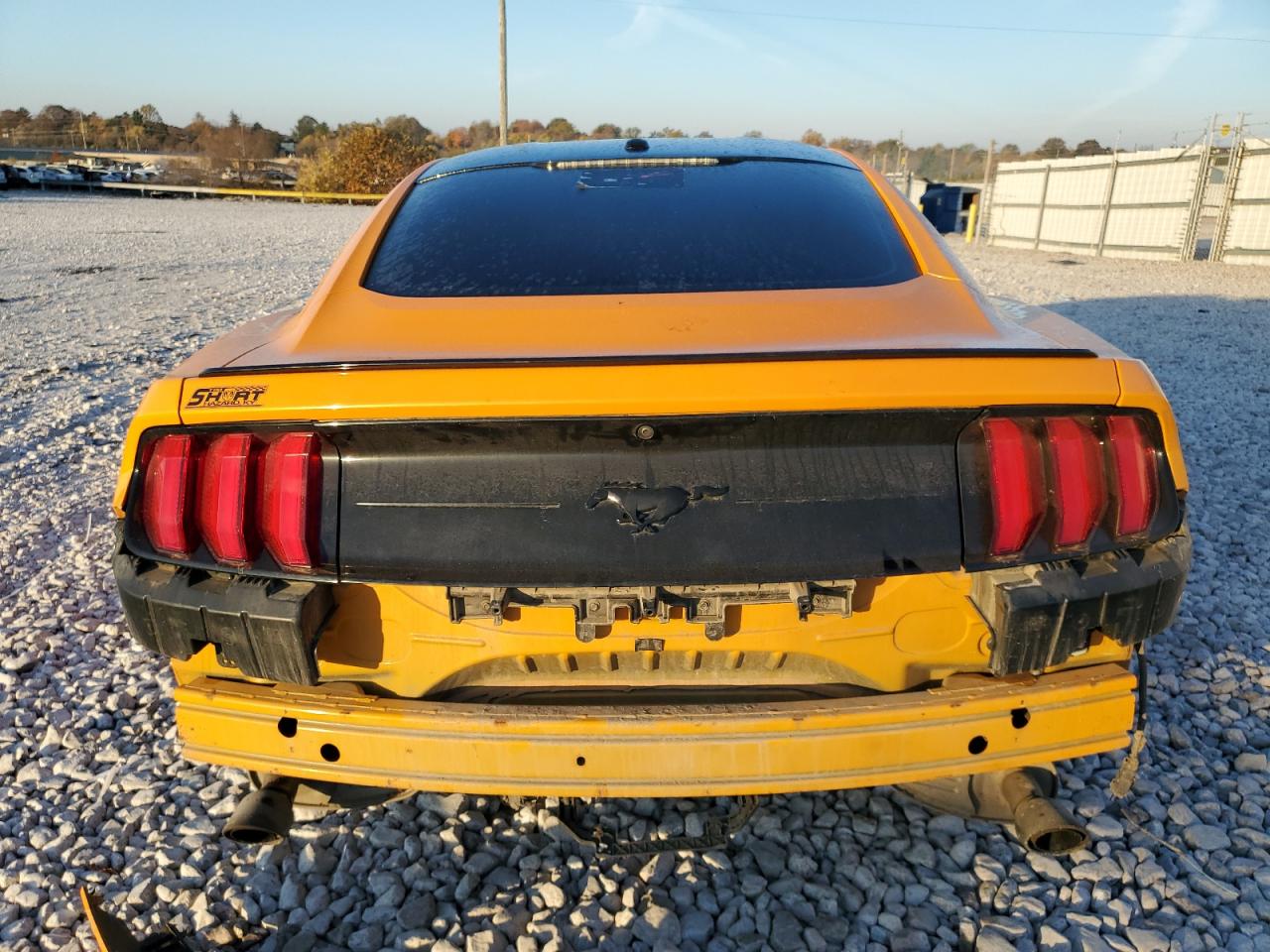 Lot #3020673930 2019 FORD MUSTANG