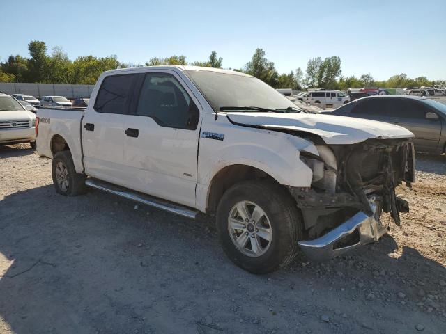 2017 FORD F150 SUPER - 1FTEW1EP5HKE15850