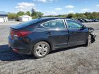 HYUNDAI ELANTRA SE photo