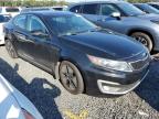 KIA OPTIMA HYB photo