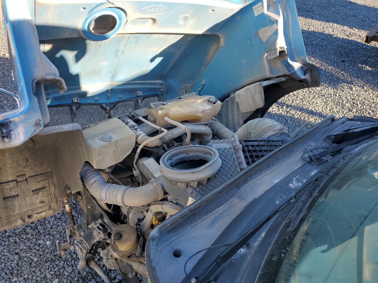 Global Auto Auctions