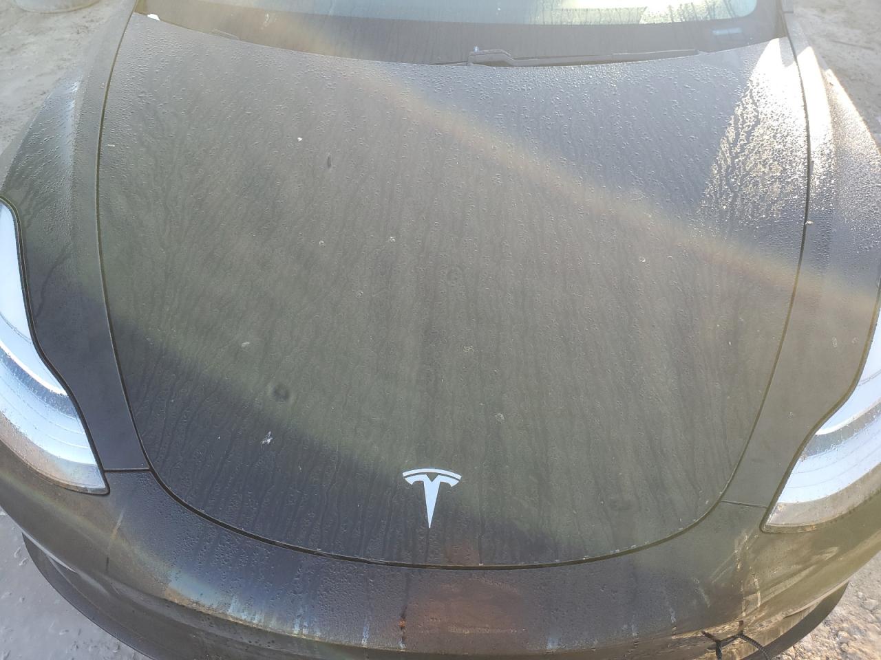 Lot #2972323578 2020 TESLA MODEL 3