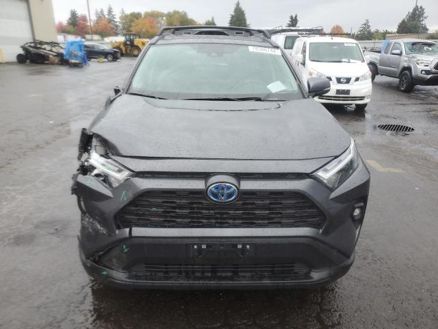 2024 TOYOTA RAV4 XLE P - 2T3B6RFV6RW059626