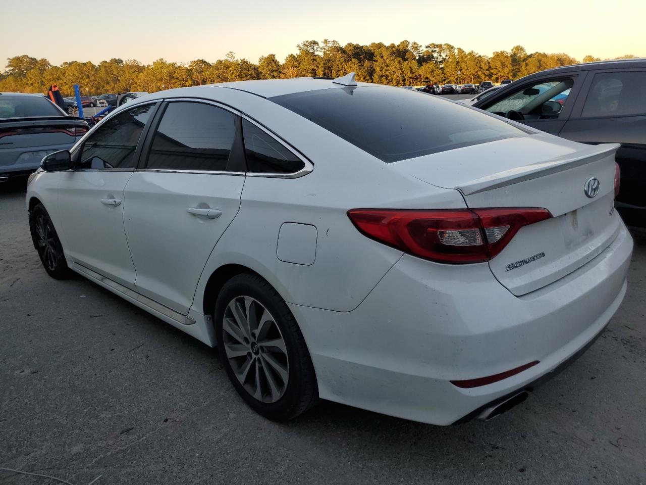 Lot #3008946567 2016 HYUNDAI SONATA SPO