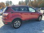 Lot #3024266861 2017 FORD ESCAPE SE