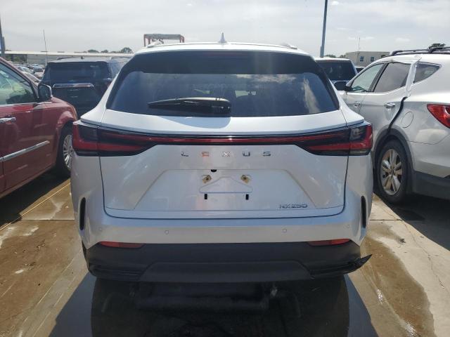 2024 LEXUS NX 250 PRE 2T2GDCAZ7RC007723