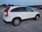 HONDA CR-V EXL photo