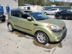 KIA SOUL + photo