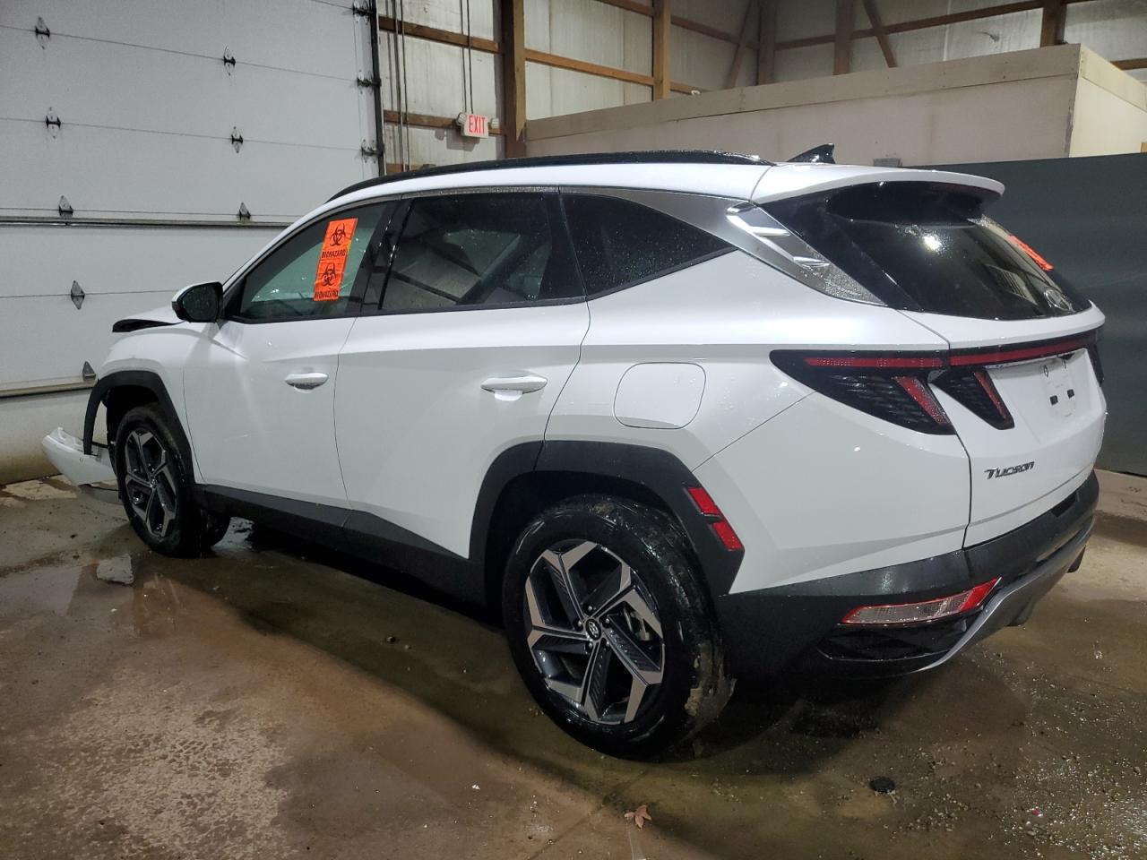 Lot #2952096726 2024 HYUNDAI TUCSON LIM