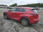 LEXUS NX 300 BAS photo