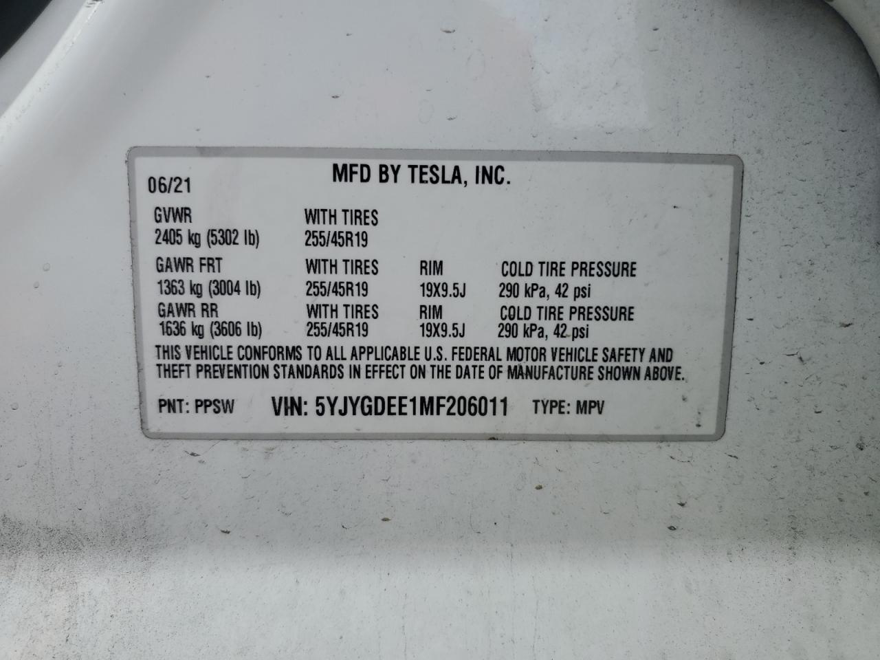 Lot #3030385481 2021 TESLA MODEL Y