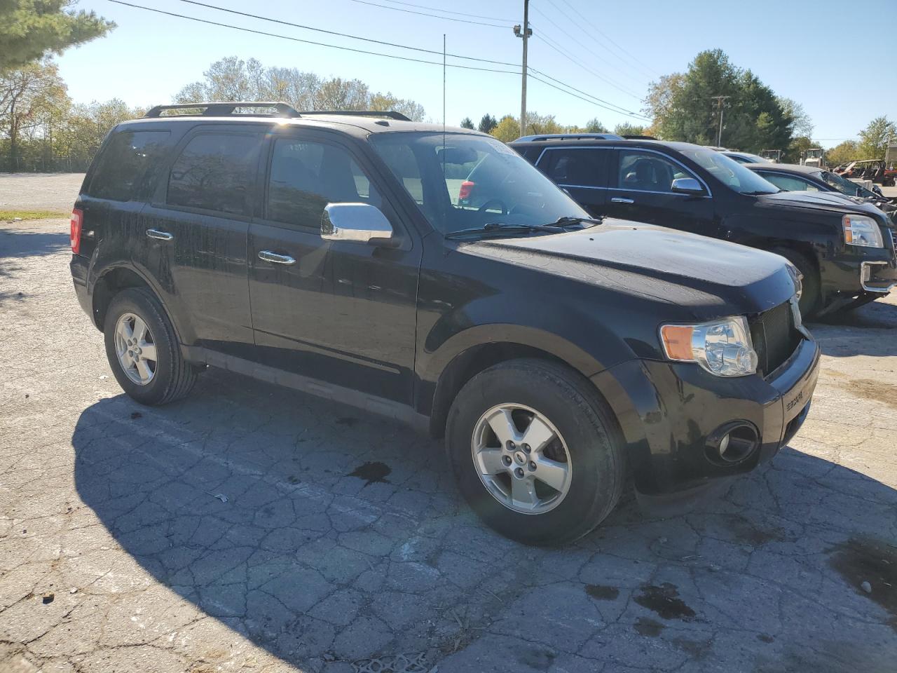 Lot #2921573798 2012 FORD ESCAPE XLT