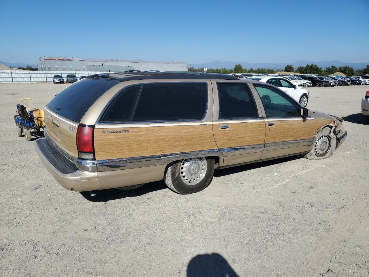 Lot #3041903919 1996 BUICK ROADMASTER