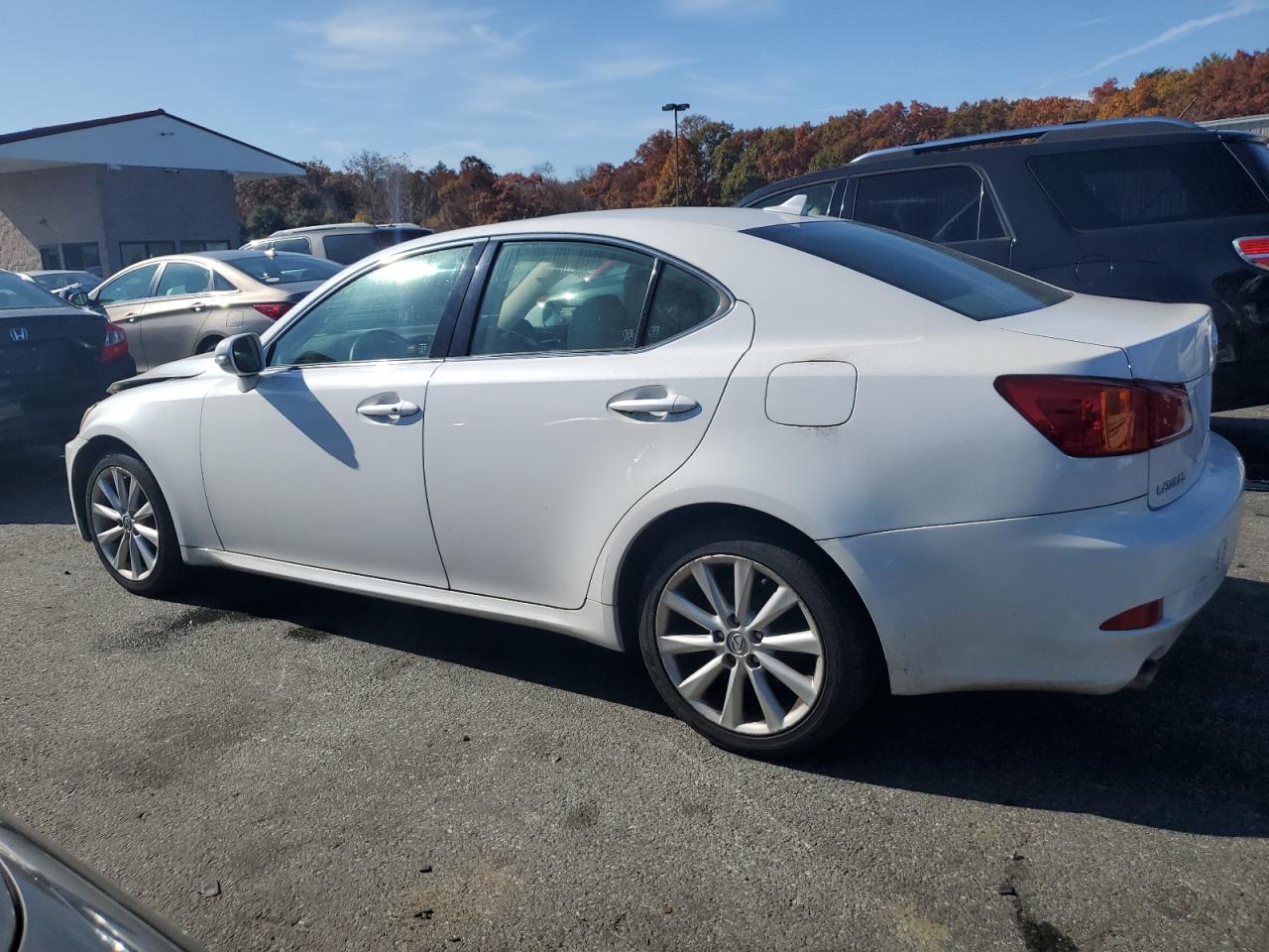 Lot #2938012861 2009 LEXUS IS 250