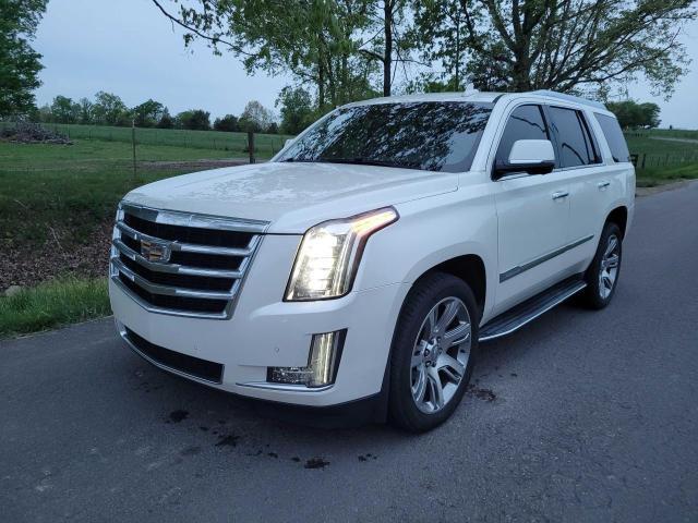 VIN 1GYS4MKJ0FR536259 2015 Cadillac Escalade, Luxury no.2