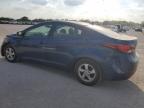 HYUNDAI ELANTRA SE photo