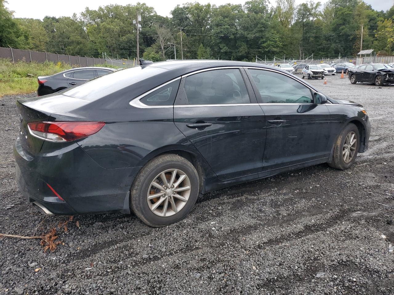 Lot #2979473811 2019 HYUNDAI SONATA SE