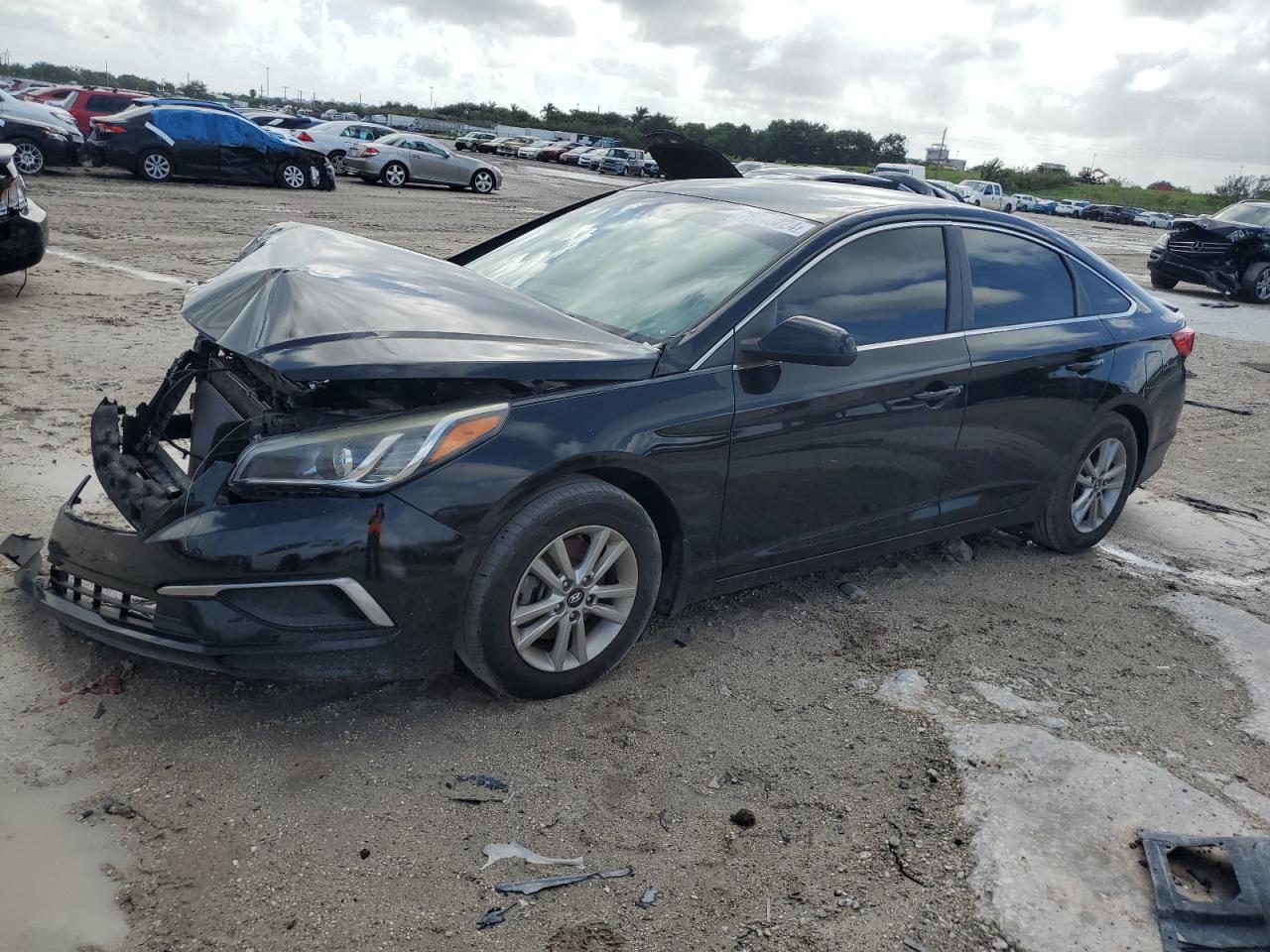 Lot #3028547918 2017 HYUNDAI SONATA SE