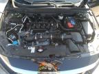 HONDA ACCORD EXL photo